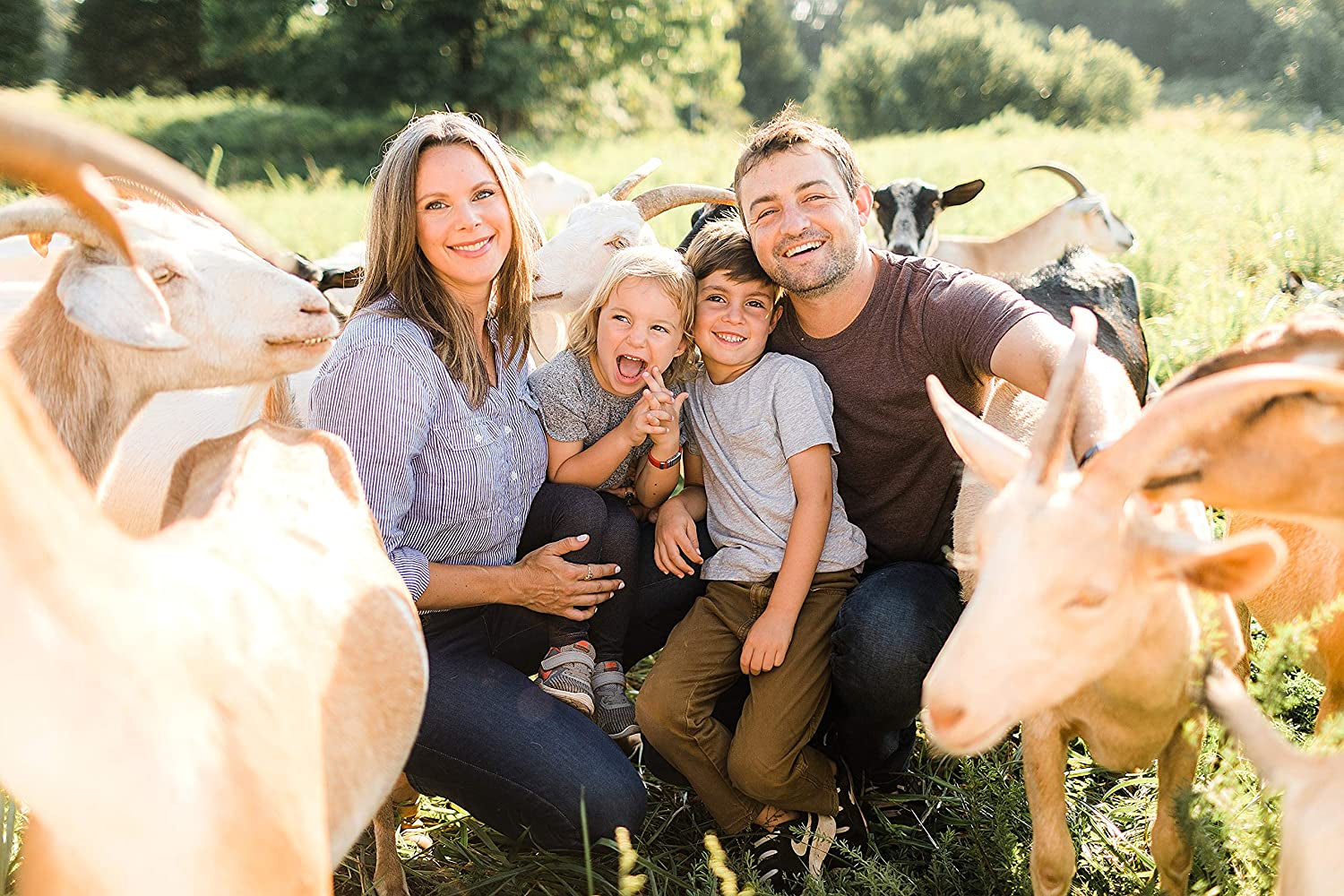 All Natural Deodorant Cream, Aluminum Free Deodorant for Women or Men, 2.4 Ounce - Activated Charcoal