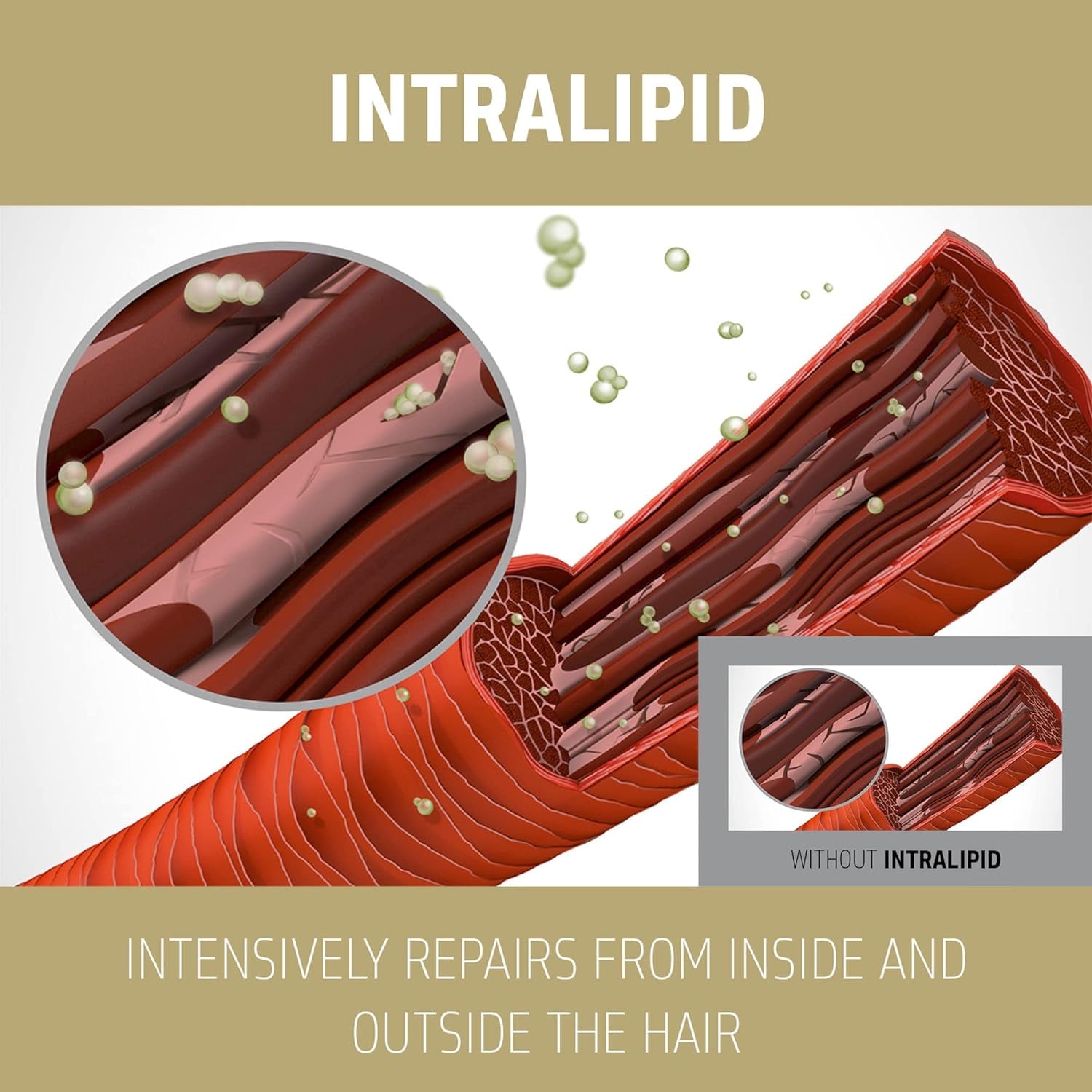 Dualsenses Rich Repair Restoring Conditioner 1L