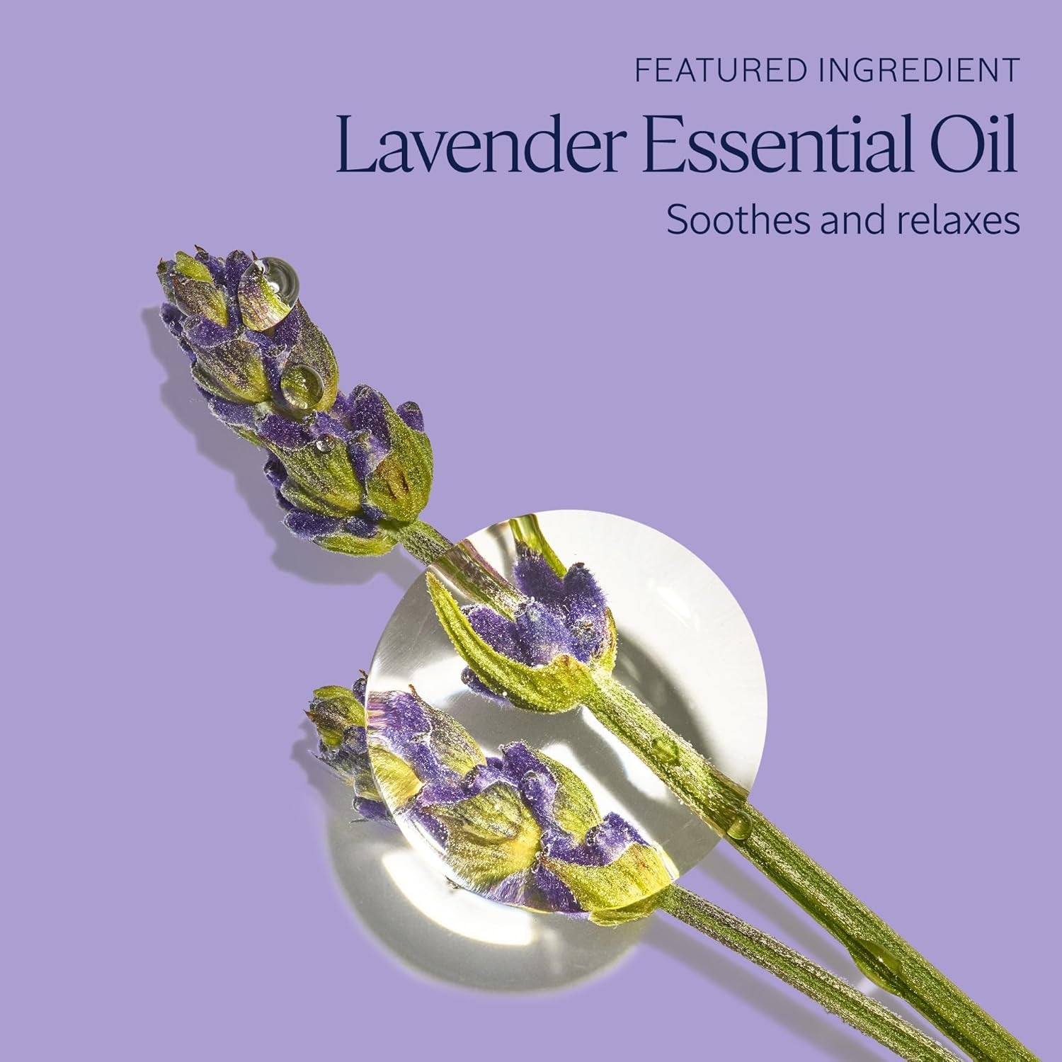 Foaming Bath: Relaxing Lavender, Comforting Shea, Beautifying Almond Milk, Citrusy Verbena, Cleansing Bubble Bath, 16.9 Fl. Oz